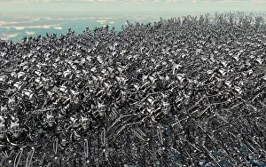 Anarchy: Hundreds of robots running wild and free