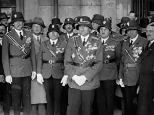 Combatant: Hungarian combatant in Vienna