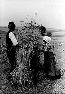 Wheatsheaf: HUNGARIAN HARVEST 1930S