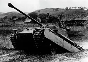 Panther: Hungarian Panzer V Panther on the Eastern Front, 1944