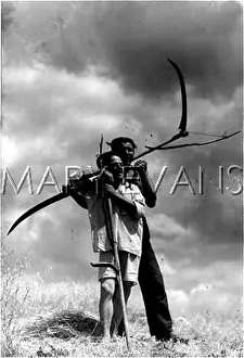 Scythes: HUNGARIAN REAPERS