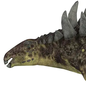 Santonian: Hungarosaurus dinosaur head