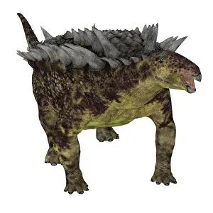 Thyreophora: Hungarosaurus dinosaur, front view on white background