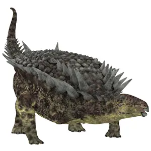 Santonian: Hungarosaurus dinosaur, white background