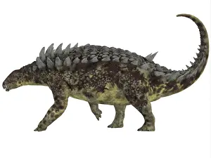 Santonian: Hungarosaurus dinosaur, white background