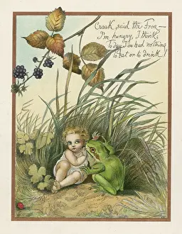 Croak: HUNGRY GREEN FROG BOYLE