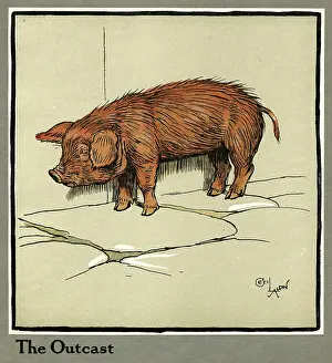 Piglet: Hungry Peter as a piglet looking for food