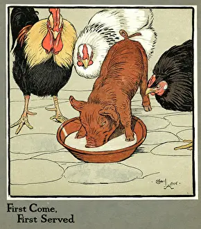 Piglet: Hungry Peter as a piglet stealing poultry food