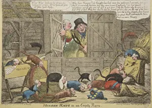 Impoverished: Hungry Rats in an Empty Barn, 1806