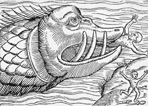 Tackling: HUNGRY SEA MONSTER