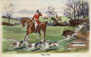 Foxhounds: Hunstman blows his horn and the chase begins