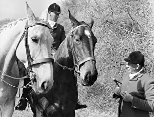 Foxhound: Hunstmen, South Devon Fox Hounds