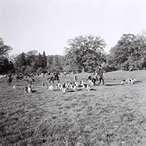 Chevis: Hunt at Cowdray