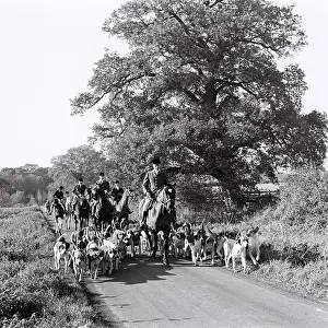 Chevis: Hunt at Cowdray