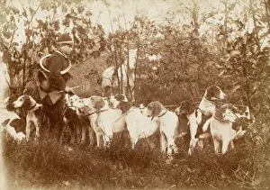 Ferron: A hunt in the grounds of a French Chateau