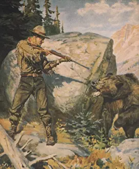 Aims: Hunter and Bear