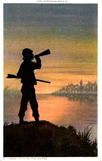 Moose: Hunter Calls Moose