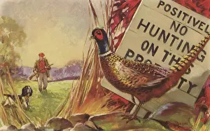 Sambrook: Hunter and Dog approach Pheasant