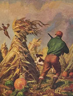 Excitedly: Hunter, Dog and Bird
