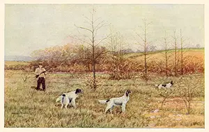 Expectantly: Hunter and Dogs