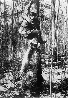 Beeing: Hunter being hunted