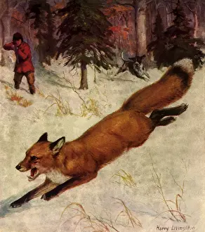 Livingston: Hunter shoots Fox