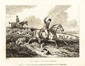 Foxhound: A hunter whips a foxhound Ringwood for barking