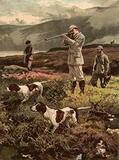 Pointers: Hunters and Dogs