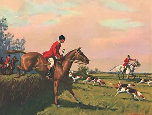 Hedges: Hunters Jump Hedges