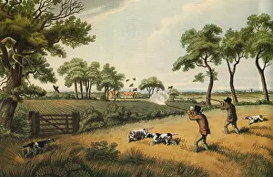 Howitt: Hunters Shooting Birds