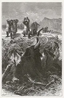 Tusks: Hunters trapping a mammoth in the Stone Age