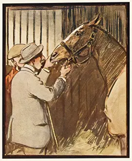 Coper: HUNTING ALPHABET - O