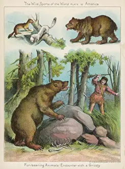 Encounters: HUNTING AMERICAN BEAR