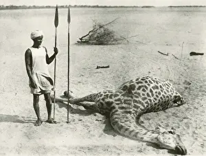 Dinder: Hunting assistant with Giraffe near the river Dinder