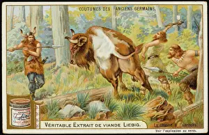 Primigenius: HUNTING THE AUROCHS