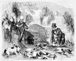 Decoy: HUNTING BIRDS/DECOY/1835