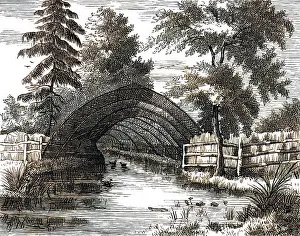 Decoy: HUNTING BIRDS/DECOY/1890