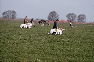 Hunters: Hunting with borzois