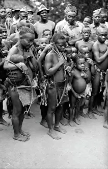 Pygmies: Hunting bow 1, Twa, Hugh Tracey, International Library