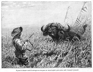 Confronts: HUNTING/BUFFALO