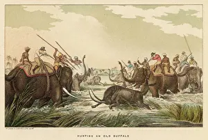 Spearing: Hunting Buffalo while Riding Elephants