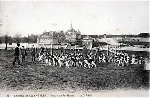 Deerhounds: HUNTING AT CHANTILLY