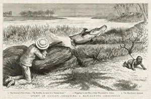 Crocodiles: HUNTING A CROCODILE