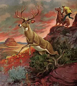 Leaps: Hunting in the Desert