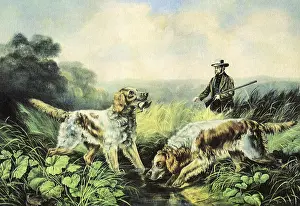 Proudly: Hunting Dogs