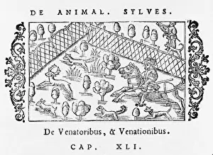 Fenced: HUNTING IN ENCLOSURE