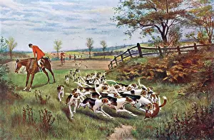 Foxhounds: HUNTING/FOX/THE KILL