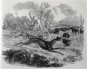 Coursing: HUNTING HARE 1832