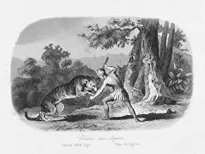 C1600: HUNTING/JAGUAR C1600