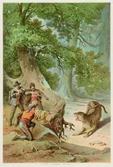 Leopards: HUNTING LEOPARDS